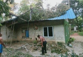 Pohon tumbang dan menimpa sebuah rumah warga (Azmi) yang tinggal di Kampung Belak, RT 06/RW 04, Desa Penaga dengan keadaan atap rumah rusak berat.