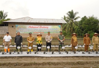 Pj Walikota Tebing Tinggi Gerakkan Tanam Cepat Panen