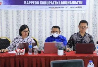 Workshop RPJMD di Labersa Hotel