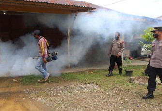 Fogging Cegah Demam Berdarah
