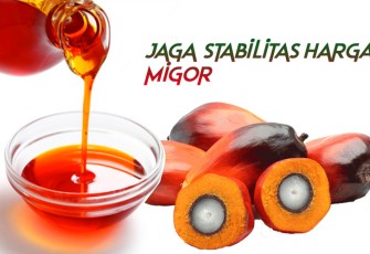ilustrasi Migor