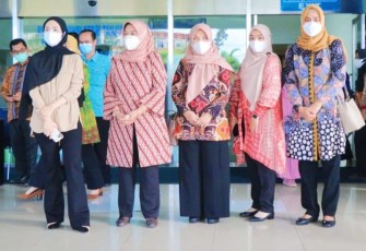 Ketua TP PKK Bintan saat Terima Kunjungan Kepala BKKBN Pusat