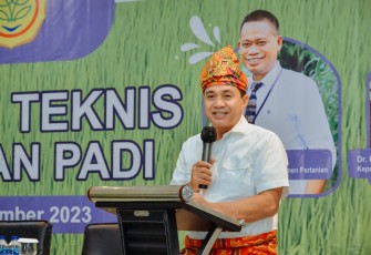 Bupati Zahir Siapkan Upaya Ketika Badai El Nino
