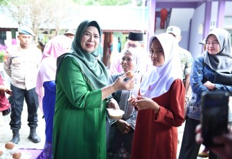 Ketua TP PKK Provinsi Kepulauan Riau Hj Dewi Kumalasari Ansar
