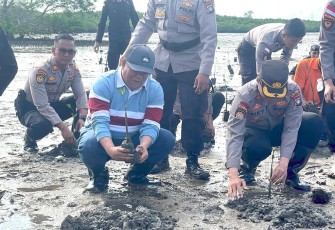 Sekda Bintan Bersama Kapolres Tanam 1.000 Bibit Magrove