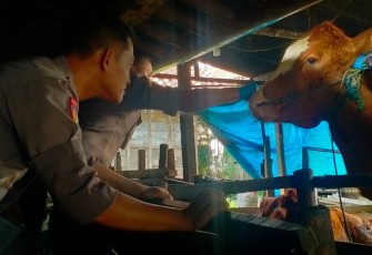 Kapolsek dan Danramil Cepu dampingi DP4 mengecek kandang sapi di Desa Cabean kecamatan Cepu, Blora.