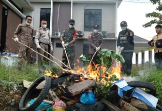 Pemusnahan Media Pembawa HPHK & OPTK