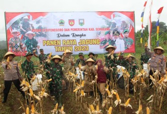 Panen raya jagung mendukung ketahanan pangan 