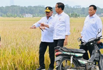 Menteri SYL bersama presiden Jokowi saat panen raya padi serentak di Kebumen Jateng, Kamis (9/3)