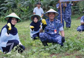 Pangkoopsud I Marsda TNI Bambang Gunarto saat panen ketahanan pangan di Jakarta 