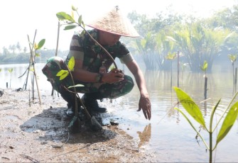 Kadispotdirga Lanud Sut Mayor Tek Wahyudi Krisdyanto saat tanam mangrove di ujung pantai Muara Anai, Rabu (3/5)
