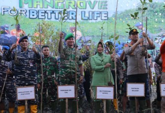 Pangdam XII/Tpr Mayjen TNI Iwan Setiawan tanam mangrove serentak, Senin (15/5)