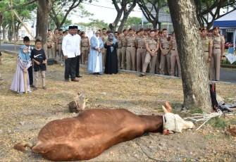 Pemotongan hewan qurban di AAL Surabaya 