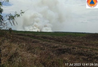 Kebakaran lahan di desa Bajayu Barat, Kecamatan Daha Barat, Provinsi Kalsel, Senin (17/7)