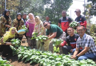 Danpussenarmed Mayjen TNI Yudhy Chandra Jaya saat panen sayur mayur di Yonarmed 1 Roket, Malang, Sabtu (23/9)