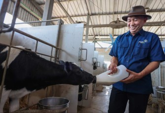 MenkopUKM Teten Masduki saat mengunjungi peternakan sapi perah di Dawuan, Subang Jawa Barat, Senin (9/10)