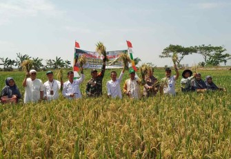 Program Ketahanan Pangan di Wilayah Koramil 1001-11/Danau Panggang 