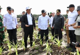 Wamenhan M. Herindra saat Tinjau Lokasi Food Estate