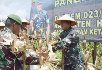 Danrem 023/KS Kolonel Inf Lukman Hakim saat petik jagung, Rabu (30/8)