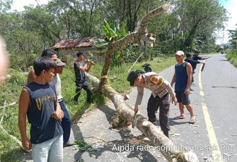 Bersama Warga Polsek Padang Ulak Tanding Bersihkan Ranting yang Menutupi Jalan 
