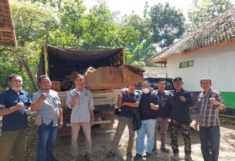 Petugas gabungan dari Perhutani KPH Cepu mengamankan belasan batang kayu jati ilegal dan satu unit truk.