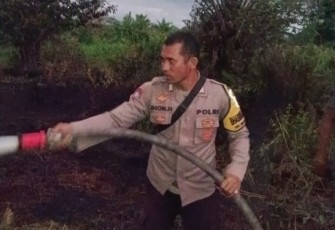 etugas Kepolisian saat memadamkan Api yang membakar Sebidang lahan sawit seluas 1 Hektare di Lingkungan II, Kelurahan Muara Manompas, Kecamatan Batang Toru, Kabupaten Tapanuli Selatan