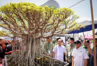 MenKopUKM Teten Masduki saat melihat bonsai, sesusai Musyawarah Nasional PPBI Ke-X Tahun 2023 yang mengusung tema ‘Mewujudkan Jati Diri Seni Bonsai Indonesia Melalui Digitalisasi PPBI’ di Sidoarjo, Jawa Timur, Sabtu (4/11).