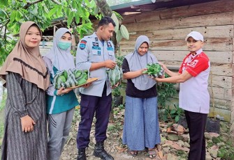  Lapas Kelas III Suliki membagikan hasil panen sayuran Hidroponik kepada warga sekitar, Sabtu (25/3/2023).