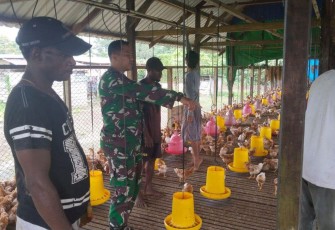 Babinsa Koramil 1710-03/KK saat Beri Penyuluhan Warga Binaan Cara Beternak Ayam Bertelur