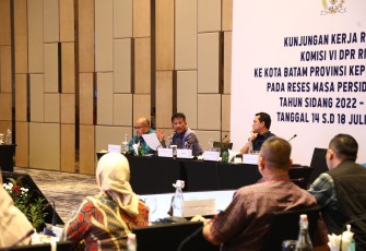Kepala BP Batam Sampaikan Kemajuan Batam Kepada DPR RI 