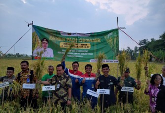 Perwakilan Pertamina EP Cepu Field dan Bupati Blora Arief Rohman panen raya bersama kelompok tani Jemari Agung Desa Sidorejo kecamatan Kedungtuban binaan Pertamina EP Cepu Field