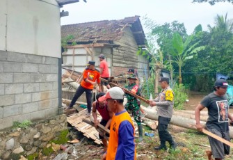  Kisah Inspiratif Gotong Royong Atasi Bencana Pohon Tumbang di Trenggalek