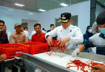 Bupati Batu Bara Tinjau Kesiapan Rumah Pasta Cabai