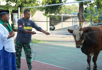 Korem 081/DSJ Salurkan Daging Kuban