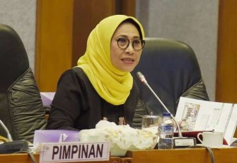 Wakil Ketua Komisi X DPR RI, Hetifah Sjaifudian