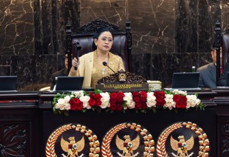 Ketua DPR RI Puan Maharani 