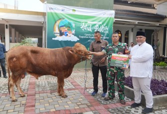 PGN Bagikan Hewan Qurban di Sekitar Wilayah Operasional