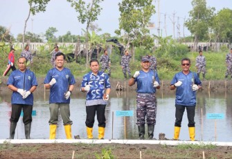  Lanal Tegal Bersama Pelindo Gelar Penanaman 3.200 Bibit Magrove