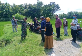 Survei Tempat Pompanisasi