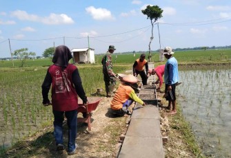 Pembuatan pematang sawah di wilayah desa binaan 