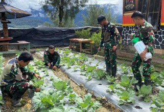 Tanam sayur mayur di pos perbatasan 
