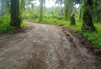 Warga senang jalan di lokasi TMMD telah dibangun.