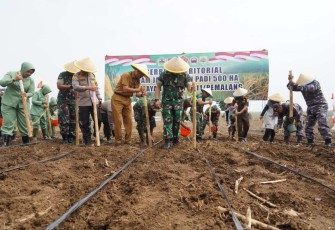 Danrem 071 Wijayakusuma Kolonel Inf Jamaluddin tanam jagung di Pemalang