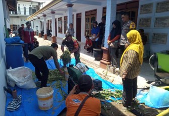 Kemandirian pakan ternak di wilayah desa binaan 