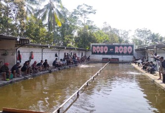 Kolam Pemancingan Roso-Roso desa Sukopuro, Kec. Jabung, Kabupaten Malang