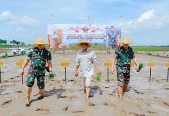 Mentan Arman dan Panglima TNI saat tanam padi di wilayah Kodim 0711, Desa Tegalsari Timur, Kecamatan Ampel Gading, Kabupaten Pemalang, Jawa Tengah, Kamis, 19 Desember 2024.