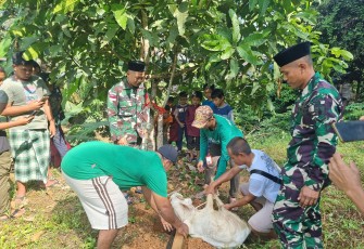 Pemotongan hewan kurban 
