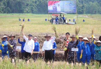 Mentan, Andi Amran Sulaiman bersama Wakasal Laksamana Madya TNI, Erwin S.Aldhedarma, Ketua Komisi IV DPR RI, Sudin dan PJ Gubernur Lampung, Samsudin saat melakukan gebyar panen raya padi dan jagung sekaligus tanam padi.