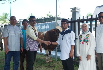 Penyaluran hewan kurban