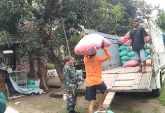Babinsa Desa Sukolilo Dampingi Serapan Gabah oleh Bulog